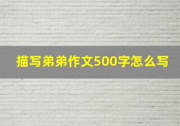 描写弟弟作文500字怎么写