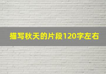 描写秋天的片段120字左右