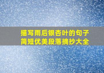 描写雨后银杏叶的句子简短优美段落摘抄大全