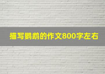 描写鹦鹉的作文800字左右