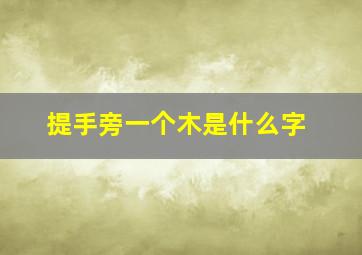 提手旁一个木是什么字