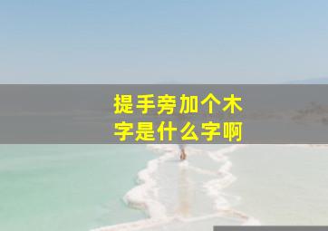 提手旁加个木字是什么字啊