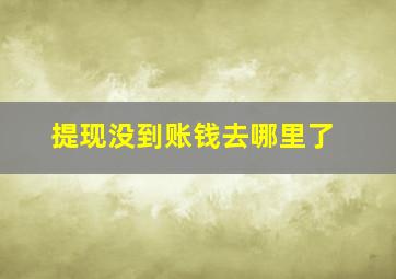 提现没到账钱去哪里了