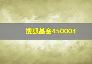 搜狐基金450003