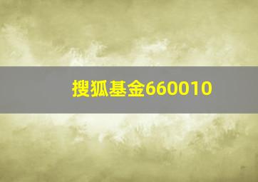 搜狐基金660010