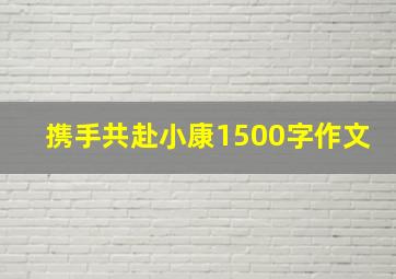 携手共赴小康1500字作文