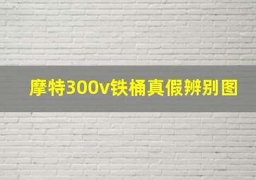 摩特300v铁桶真假辨别图