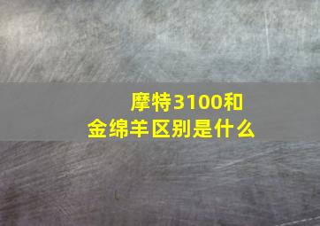 摩特3100和金绵羊区别是什么