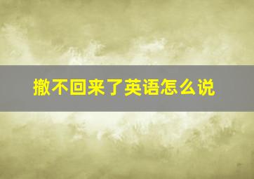 撤不回来了英语怎么说