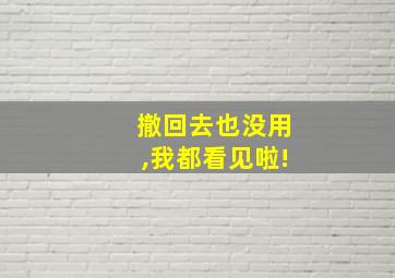 撤回去也没用,我都看见啦!