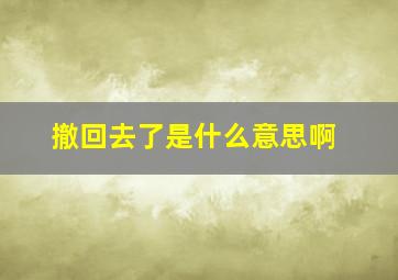 撤回去了是什么意思啊