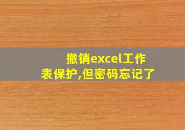 撤销excel工作表保护,但密码忘记了