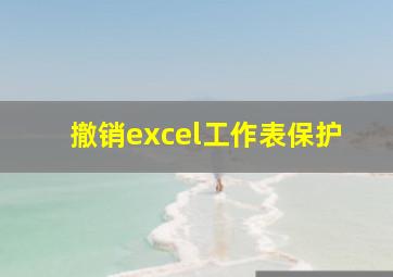 撤销excel工作表保护