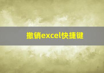 撤销excel快捷键