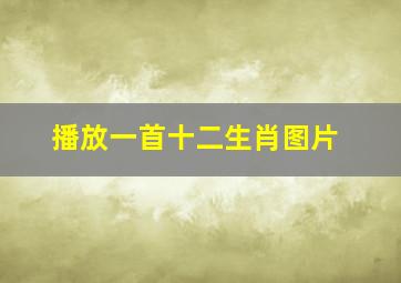 播放一首十二生肖图片