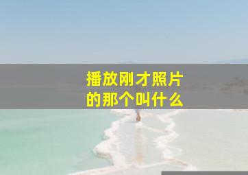 播放刚才照片的那个叫什么