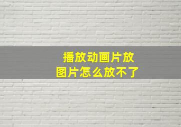 播放动画片放图片怎么放不了