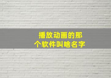 播放动画的那个软件叫啥名字