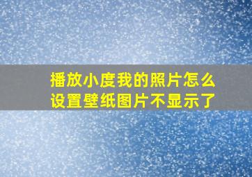 播放小度我的照片怎么设置壁纸图片不显示了