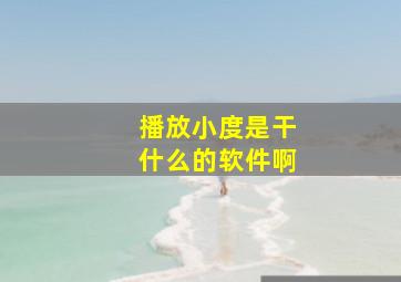 播放小度是干什么的软件啊