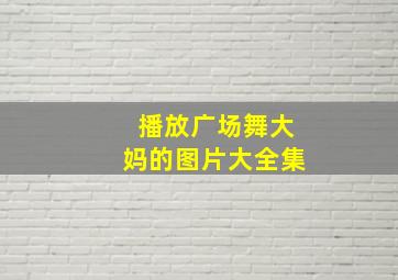 播放广场舞大妈的图片大全集