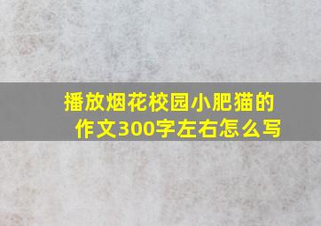 播放烟花校园小肥猫的作文300字左右怎么写