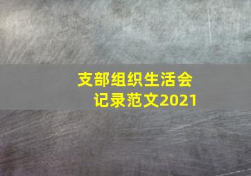 支部组织生活会记录范文2021