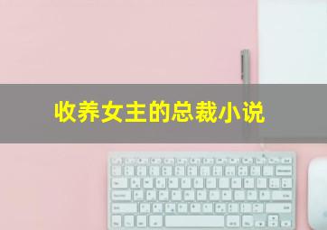 收养女主的总裁小说