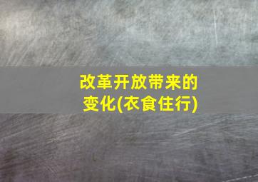 改革开放带来的变化(衣食住行)