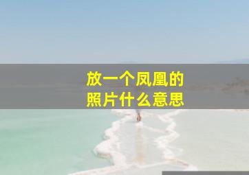 放一个凤凰的照片什么意思