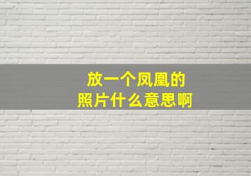 放一个凤凰的照片什么意思啊