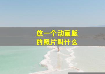 放一个动画版的照片叫什么