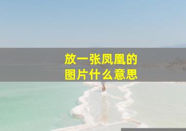 放一张凤凰的图片什么意思