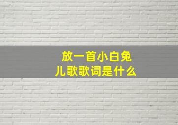 放一首小白兔儿歌歌词是什么