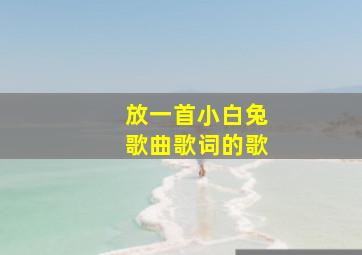 放一首小白兔歌曲歌词的歌