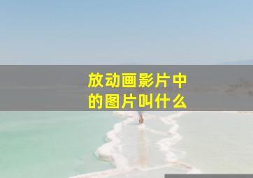 放动画影片中的图片叫什么