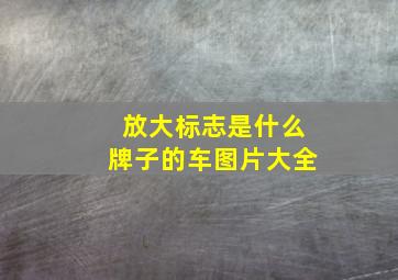 放大标志是什么牌子的车图片大全