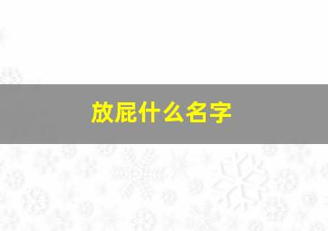 放屁什么名字