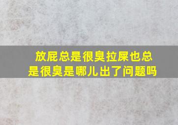 放屁总是很臭拉屎也总是很臭是哪儿出了问题吗