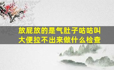 放屁放的是气肚子咕咕叫大便拉不出来做什么检查