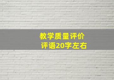 教学质量评价评语20字左右