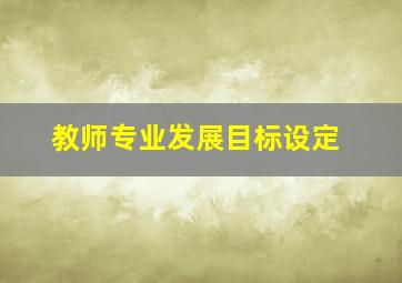 教师专业发展目标设定