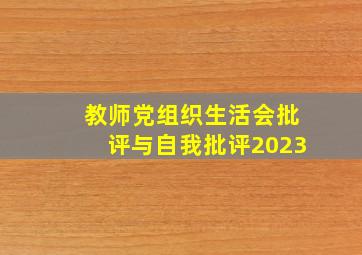 教师党组织生活会批评与自我批评2023