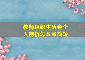 教师组织生活会个人剖析怎么写简短