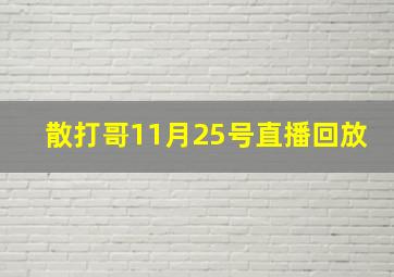 散打哥11月25号直播回放