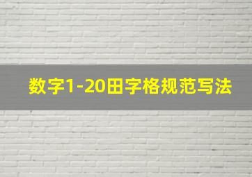 数字1-20田字格规范写法