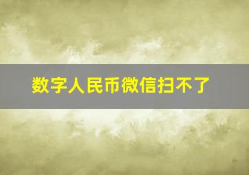 数字人民币微信扫不了