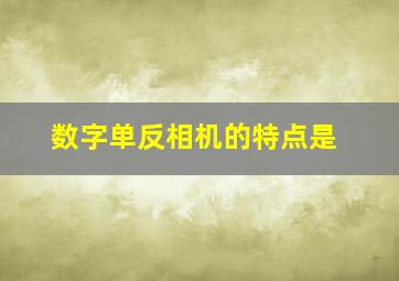 数字单反相机的特点是