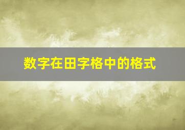 数字在田字格中的格式