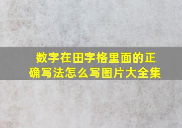 数字在田字格里面的正确写法怎么写图片大全集